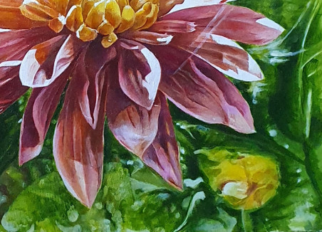 Dahlia original painting by Rimas Nаkrašas. Flowers