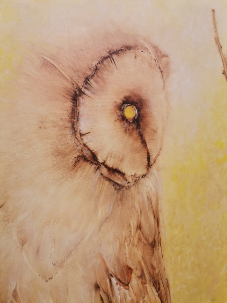 The Owl original painting by Inesa Škeliova. Home