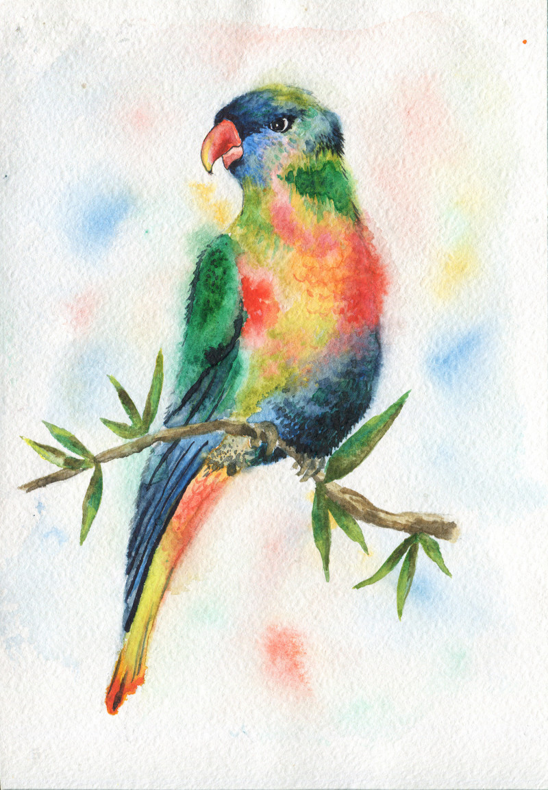 A Parrot original painting by Anastasiia Provozina. Home