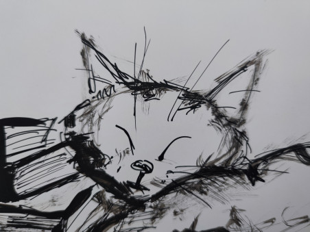 Sleeping Cat original painting by Natalija Ranceva. Home