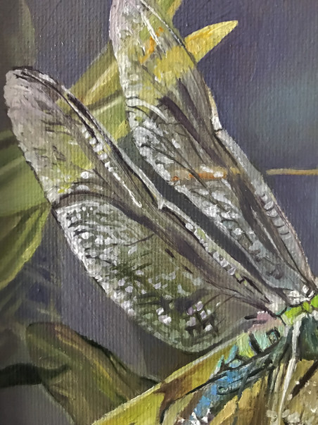 Dragonfly original painting by Sigita Paulauskienė. Animalistic Paintings