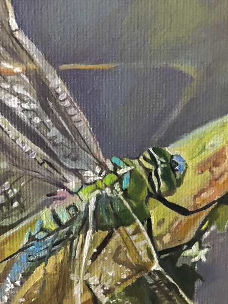 Dragonfly original painting by Sigita Paulauskienė. Animalistic Paintings