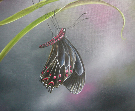 Butterflies original painting by Viktorija Labinaitė. Home