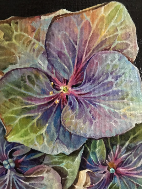 Hydrangea No. 6 original painting by Sigita Paulauskienė. Home