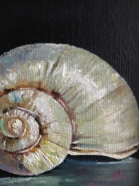 A Shell original painting by Sigita Paulauskienė. Home