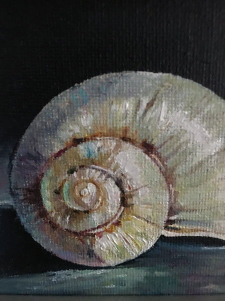 A Shell original painting by Sigita Paulauskienė. Home