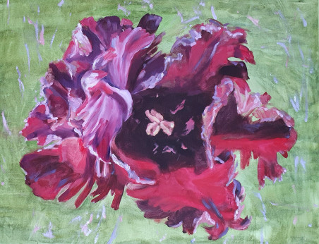 A frosted tulip original painting by Nadia Petraitienė. Home