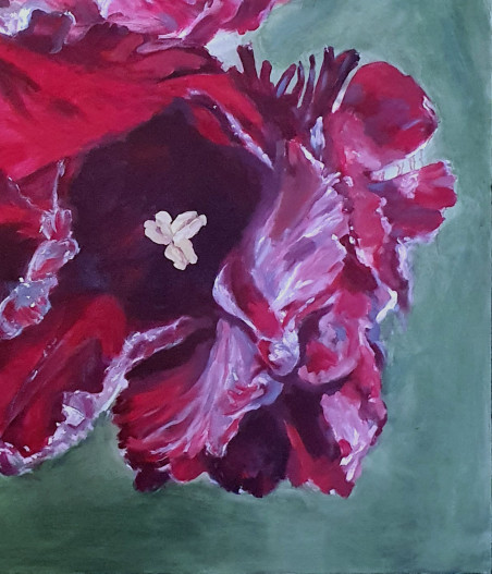 Frosted tulips original painting by Nadia Petraitienė. Home