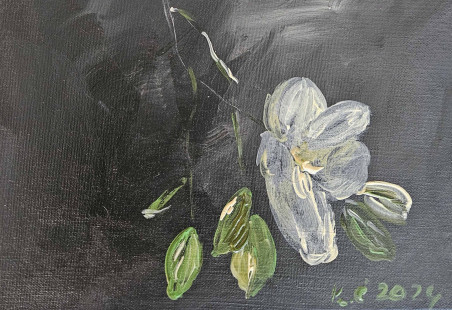 Flowers on a black background original painting by Kristina Česonytė. Home