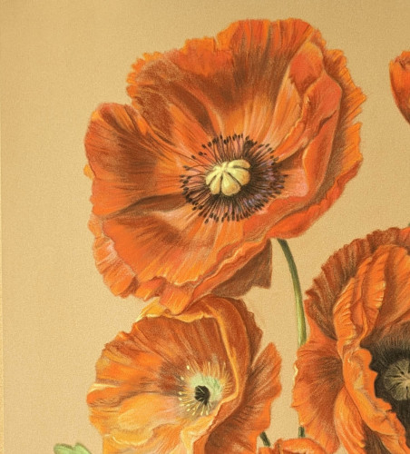 Poppies original painting by Irena Kavaliauskienė. Flowers