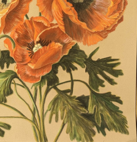 Poppies original painting by Irena Kavaliauskienė. Flowers