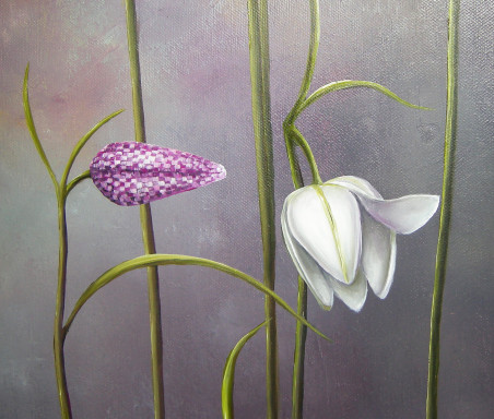 Checkered Daisies original painting by Viktorija Labinaitė. Flowers