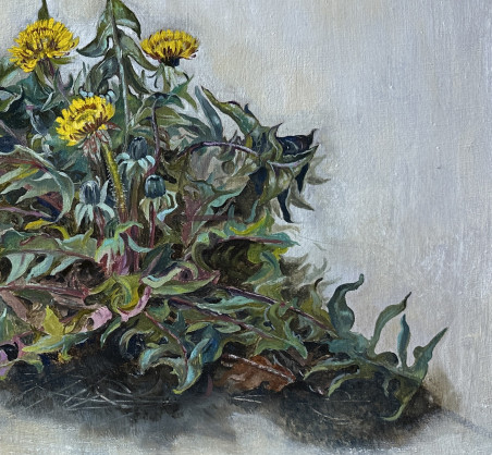 Sowthistle original painting by Onutė Juškienė. Flowers