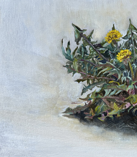 Sowthistle original painting by Onutė Juškienė. Flowers