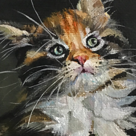 Kitty Cat original painting by Sigita Paulauskienė. Animalistic Paintings