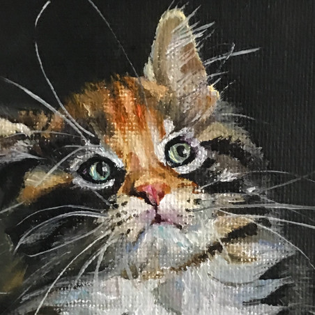 Kitty Cat original painting by Sigita Paulauskienė. Animalistic Paintings