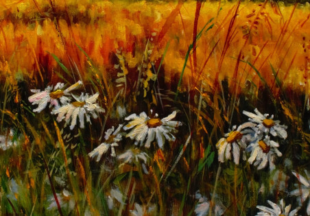 Field of Daisies original painting by Irma Pažimeckienė. Lithuanian Landscape Paintings