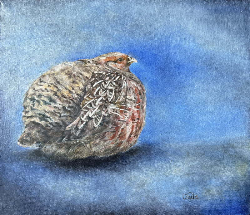 Partridge original painting by Onutė Juškienė. Animalistic Paintings