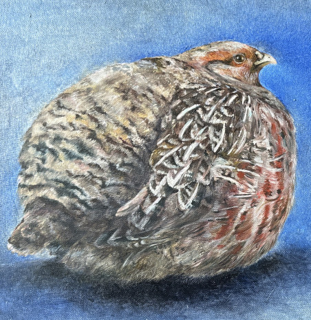 Partridge original painting by Onutė Juškienė. Animalistic Paintings