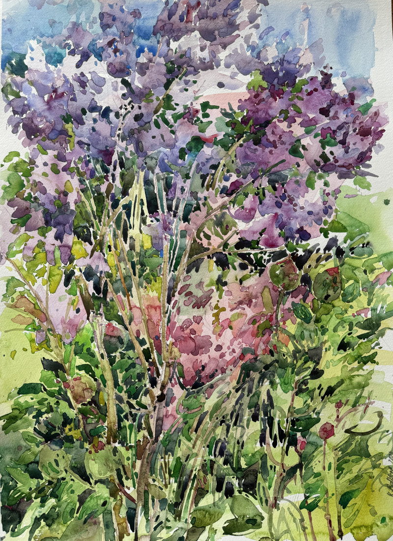 Lilacs original painting by Rasa Balkienė. Flowers