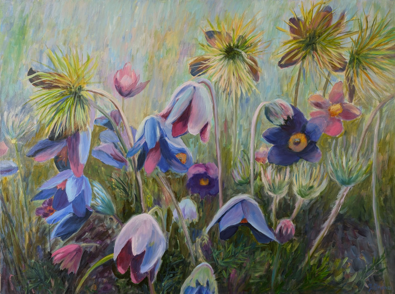 Pasqueflower original painting by Irena Jasiūnienė. Flowers