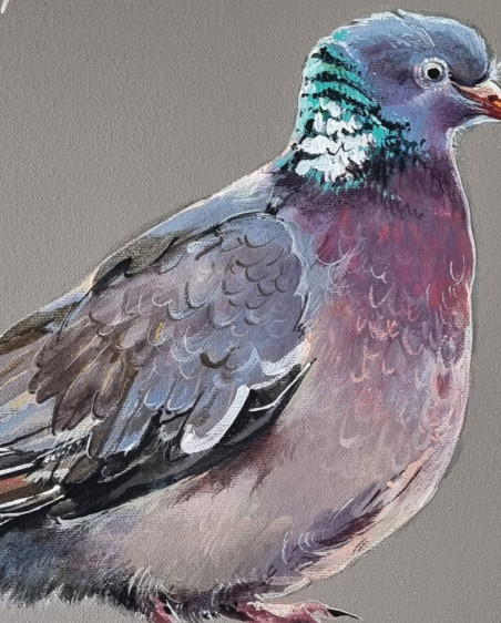 Wood Pigeon original painting by Rasa Tamošiūnienė. Animalistic Paintings