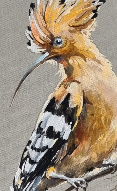 Hoopoe original painting by Rasa Tamošiūnienė. Animalistic Paintings