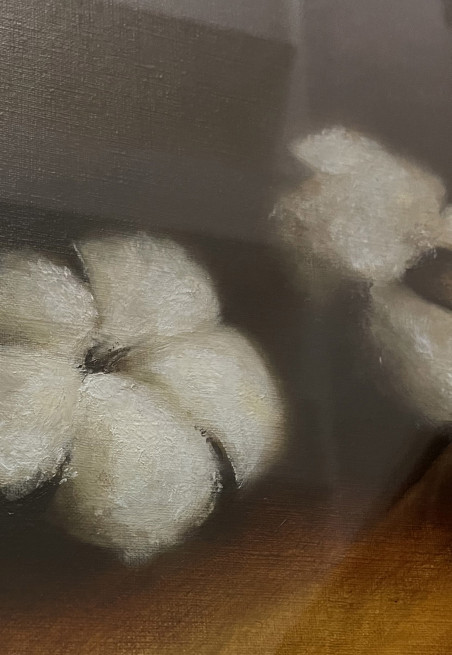 Cottond buds. Study original painting by Daiva Karaliūtė. Realism