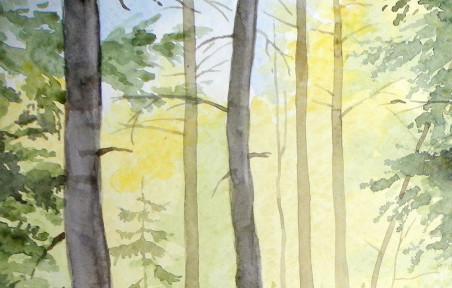 Sunny Forest original painting by Algirdas Zibalis. Home