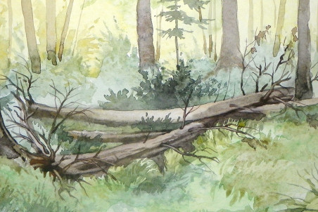 Sunny Forest original painting by Algirdas Zibalis. Home