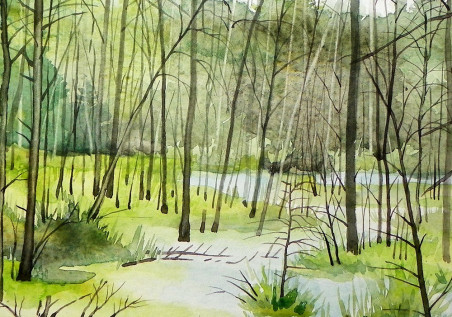 Marshy Creek original painting by Algirdas Zibalis. Home