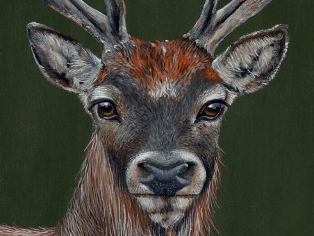 Cervus elaphus original painting by Laima Žeimienė Vienis. Home