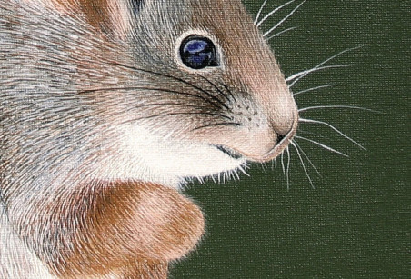 Sciurus original painting by Laima Žeimienė Vienis. Home