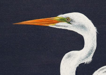 Egretta alba I original painting by Laima Žeimienė Vienis. Home