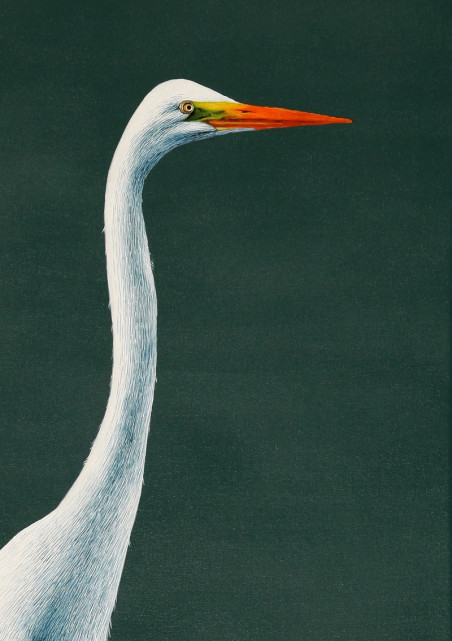 Egretta alba II original painting by Laima Žeimienė Vienis. Home