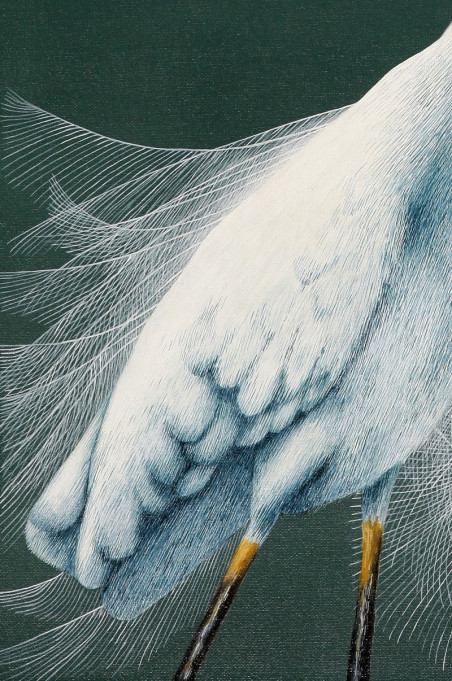 Egretta alba II original painting by Laima Žeimienė Vienis. Home