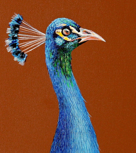 Pavo cristatus I original painting by Laima Žeimienė Vienis. Home