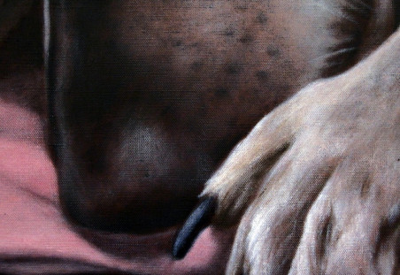 Dog Fragment original painting by Gintarė Marčiulynaitė Maskaliūnienė. Home