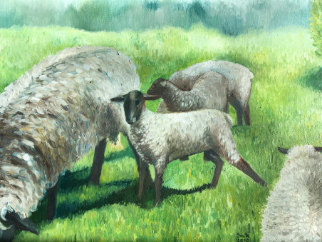 Sheeps Meadow original painting by Onutė Juškienė. Home