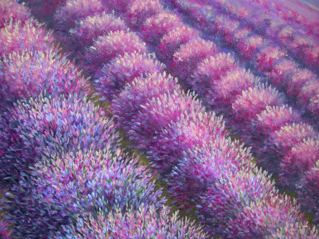 Lavender Fields original painting by Viktorija Labinaitė. Home