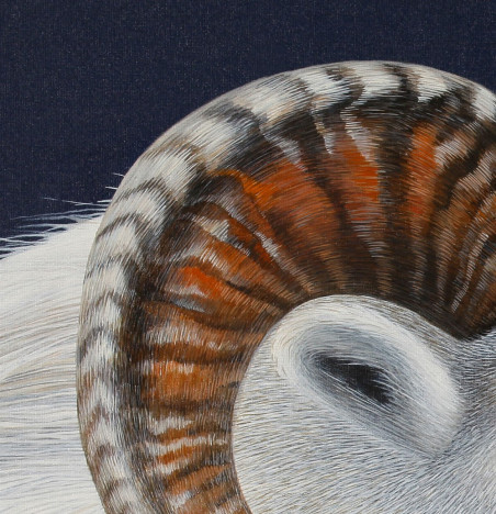 Ovis Canadensis II original painting by Laima Žeimienė Vienis. Home