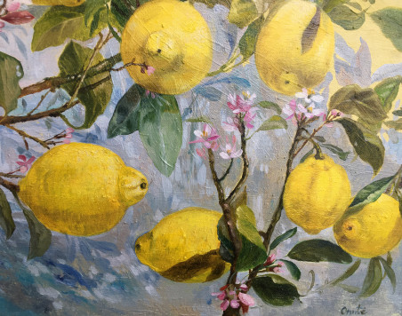 The blossom of lemon tree original painting by Onutė Juškienė. Home