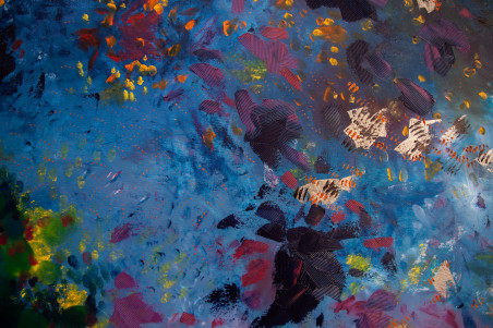 Flowers Of The Ocean original painting by Giedrė Balčiūnaitė. Home