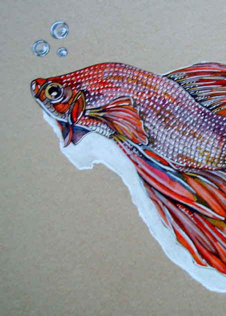 Fiery Fish original painting by Artūras Skopas. Home