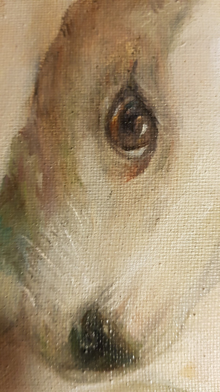 Shaila the Dog original painting by Nomeda Balasevičiūtė. Home