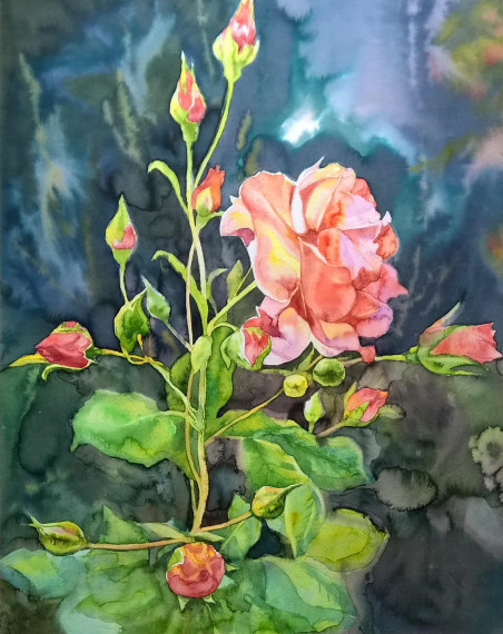 Red Rose original painting by Algirdas Zibalis. Home