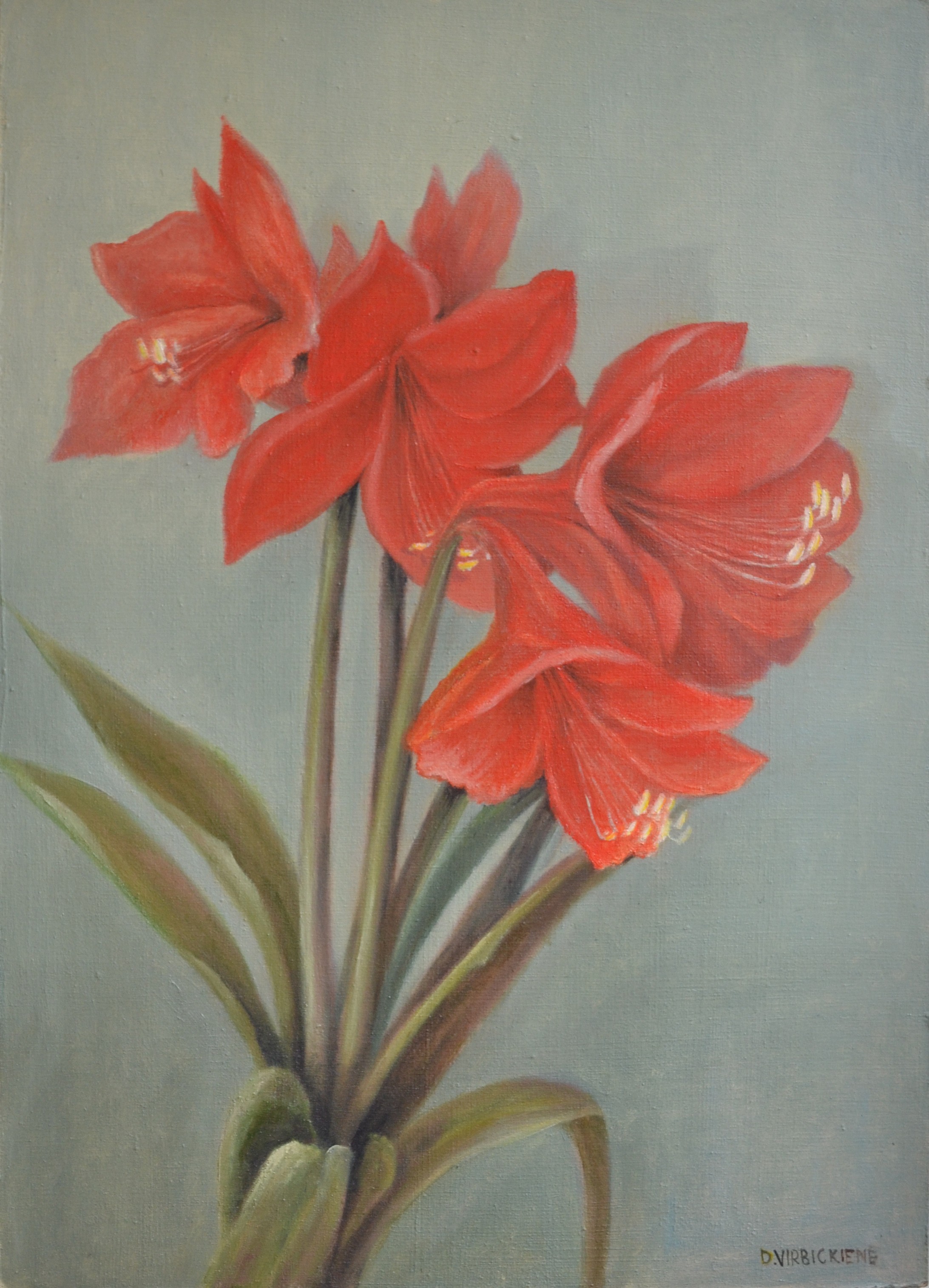 Buy Amarilis - painting by Danutė Virbickienė