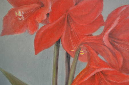 Amarilis original painting by Danutė Virbickienė. Home