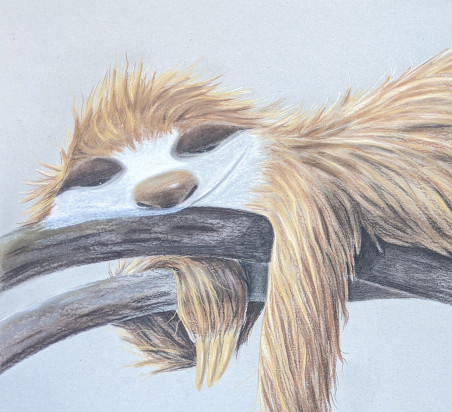 Sloth original painting by Irena Kavaliauskienė. Home