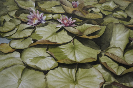 Water Lillies original painting by Arūnas Vilkevičius. Lithuanian Landscape Paintings